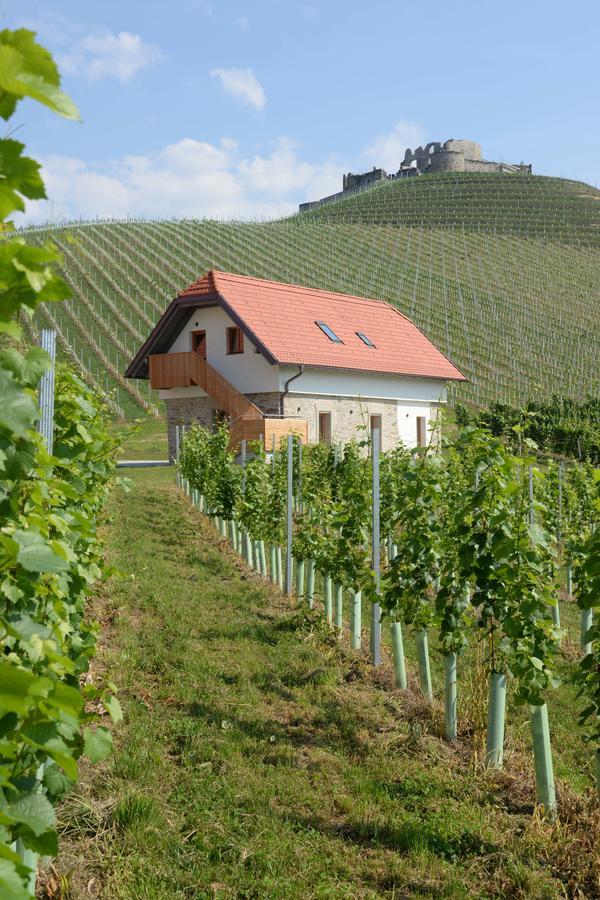 Weingut Taggenbrunn Hotel Sankt Veit an der Glan Exterior photo