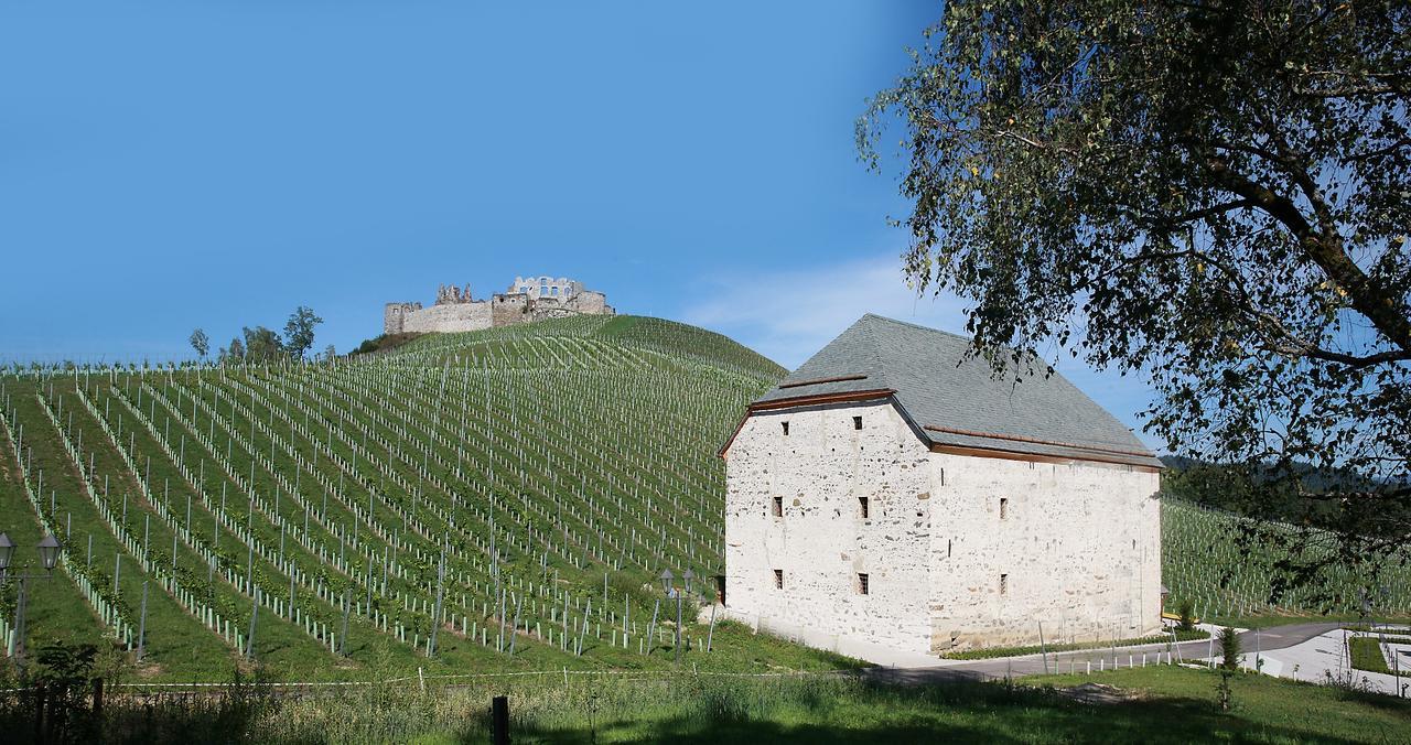 Weingut Taggenbrunn Hotel Sankt Veit an der Glan Exterior photo